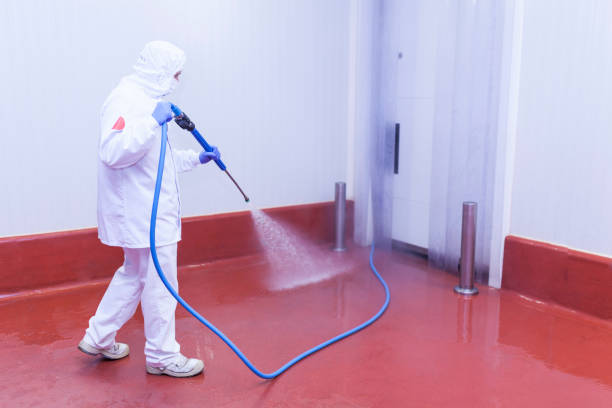 Best Warehouse Cleaning  in Zellwood, FL
