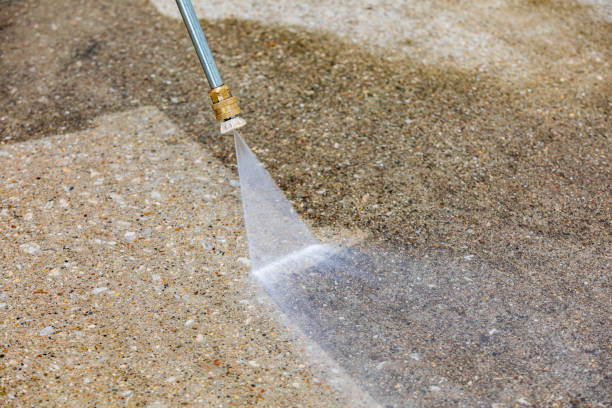 Best Gutter Cleaning  in Zellwood, FL