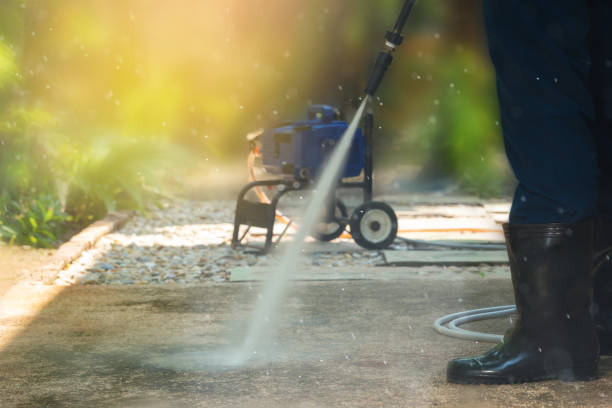 Animal Enclosure Cleaning in Zellwood, FL